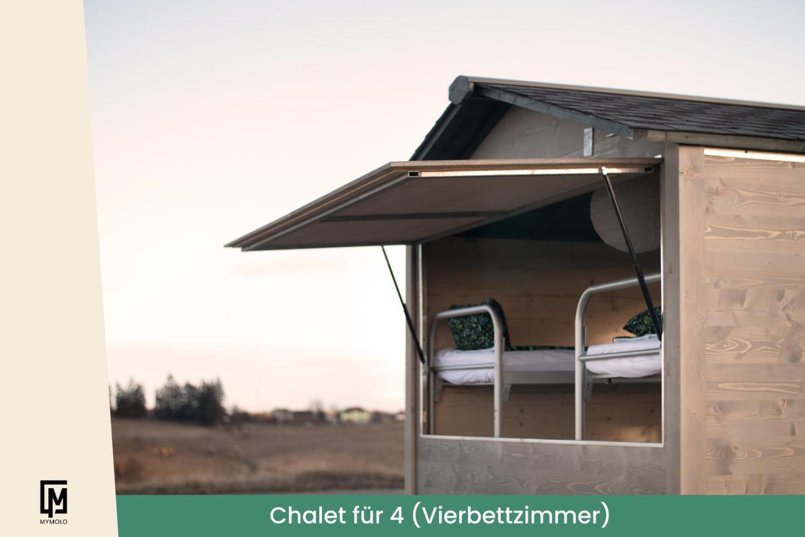 Glamping In Der Zeche Ewald Herten Herten  Exteriér fotografie