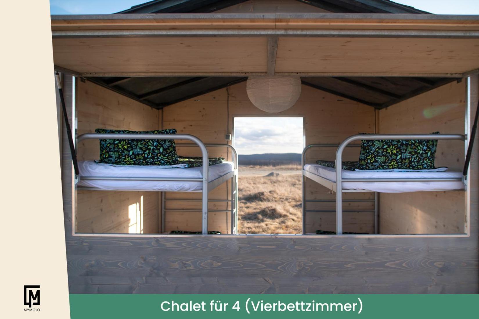 Glamping In Der Zeche Ewald Herten Herten  Exteriér fotografie